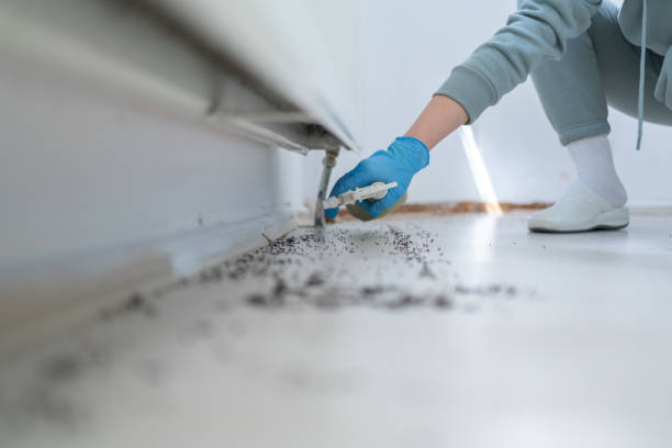 Reliable Maitland, FL Pest Control Solutions